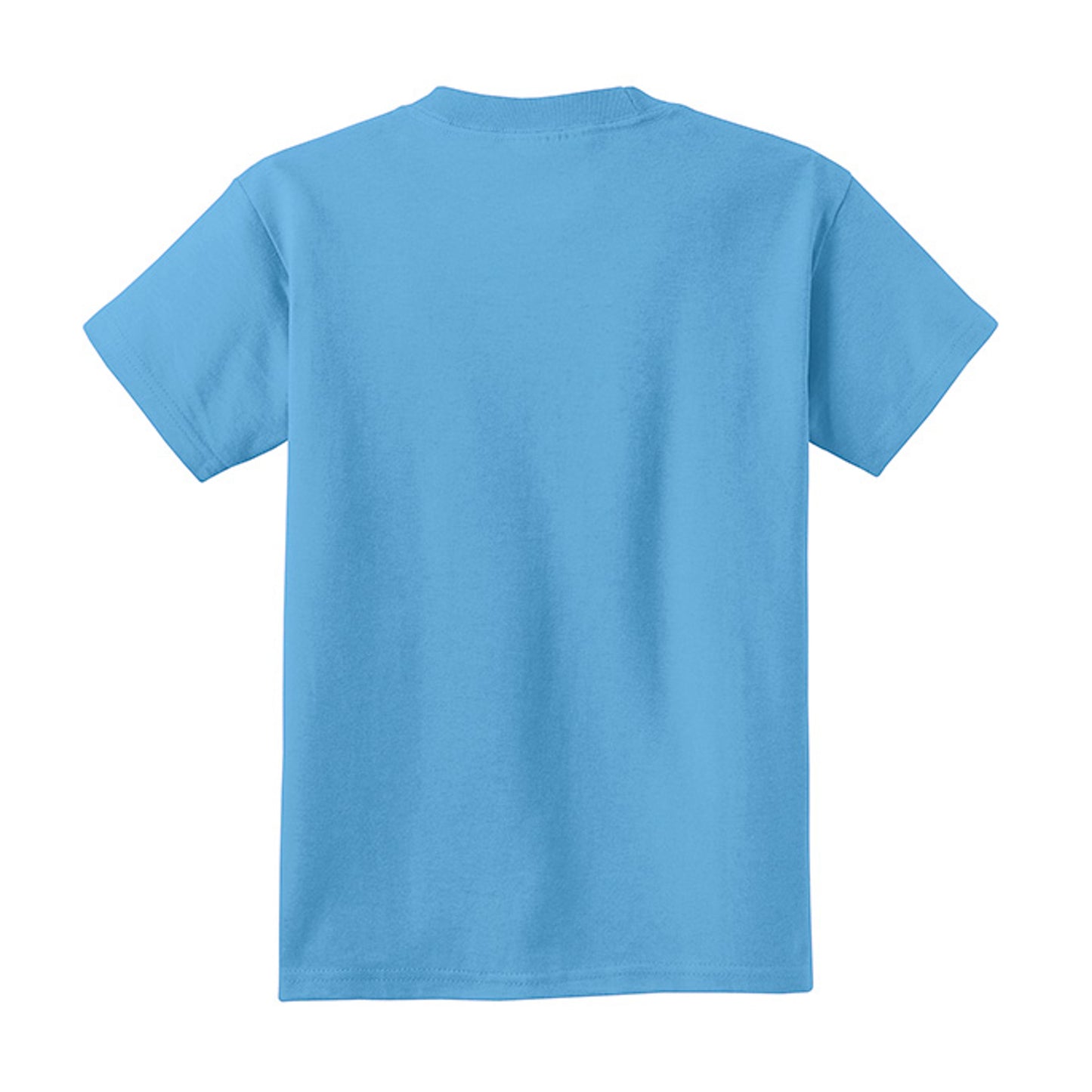 Aquatic Blue - PC54Y - BACK
